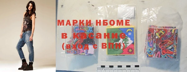 индика Медвежьегорск
