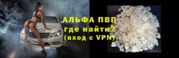 ГАЛЛЮЦИНОГЕННЫЕ ГРИБЫ Белоозёрский