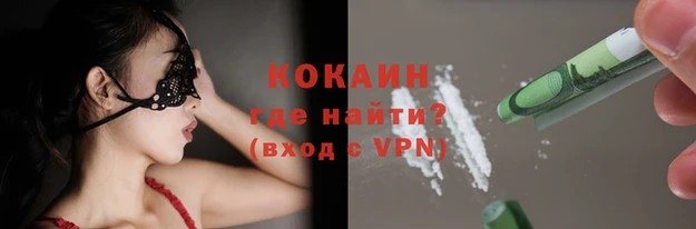 a pvp Белокуриха