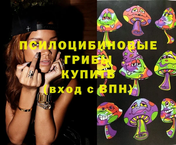 ГАЛЛЮЦИНОГЕННЫЕ ГРИБЫ Белоозёрский